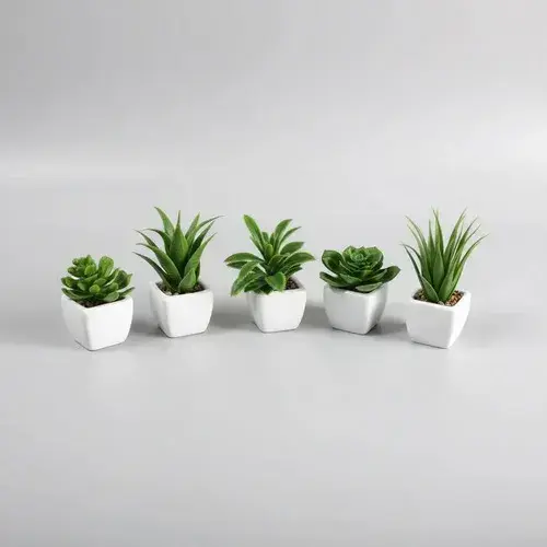 Plantin Artificial Maceta De Ceramica (modelo Surtido)