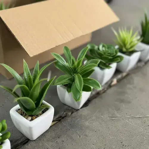 Plantin Artificial Maceta De Ceramica (modelo Surtido)
