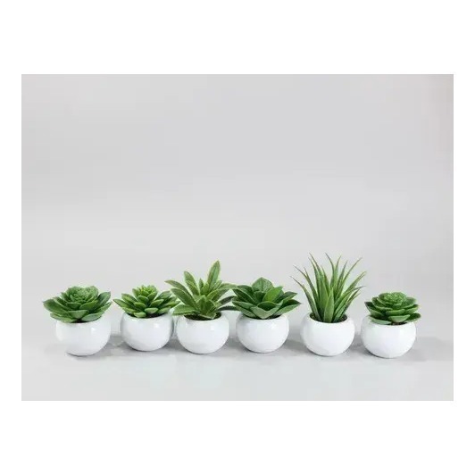 Plantin Artificial Maceta De Pvc (modelo Surtido)